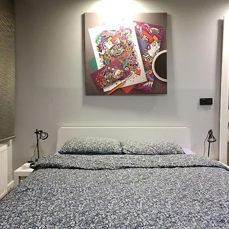 Διαμέρισμα Central Comfortable With Gym 1+1 Κωνσταντινούπολη